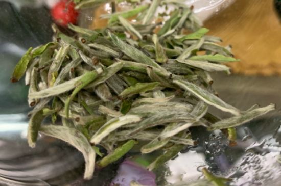 蒸汽煮茶器適合什么茶，蒸汽煮茶器適合用綠茶嗎？