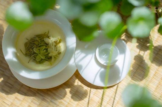 茉莉花茶6種人不要喝，什么體質(zhì)不適合喝茉莉花茶？