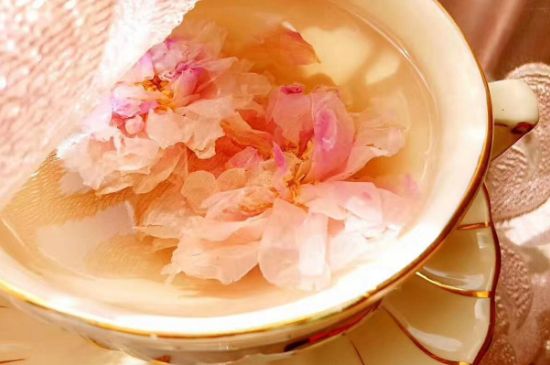 玫瑰花茶一周喝幾次，玫瑰花茶可以天天喝嗎？