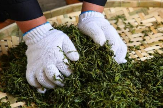 綠茶加工工藝流程圖，綠茶的加工制作包含哪幾個步驟？