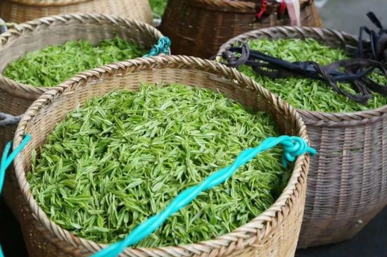 茶葉怎么炒制才香，怎樣炒茶葉更香？