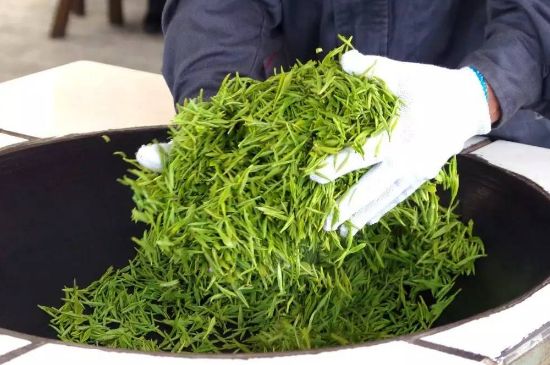 自家炒茶葉怎么炒，自己炒茶葉的步驟