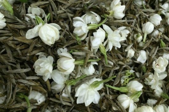 茉莉銀針口感，茉莉銀針是什么味道？