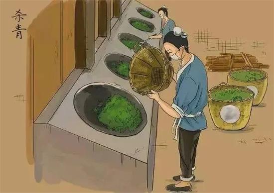 制茶八步驟，制茶工藝流程圖