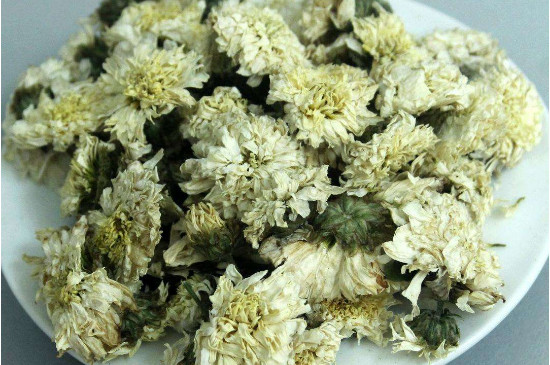 菊花茶買小朵還是大朵，泡茶用的小菊花和大菊花哪個好