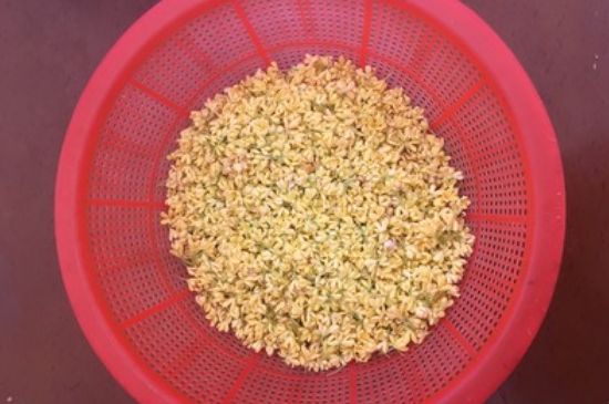 干桂花茶的制作方法，怎樣自制桂花茶？