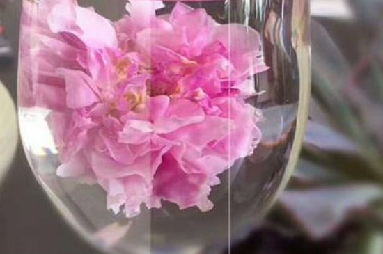 干玫瑰花泡水放幾顆，玫瑰花泡水一次放幾朵？