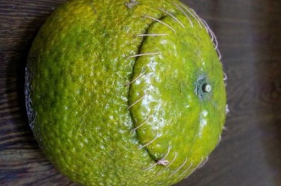 家庭自制柑普茶方法，小青柑制作9個步驟竅門（圖片）