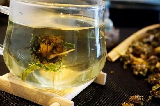 蒲公英最佳搭配，蒲公英茶和什么搭配泡水最佳