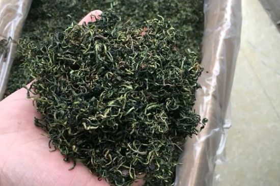 蒲公英十大搭配，蒲公英泡水搭配大全集