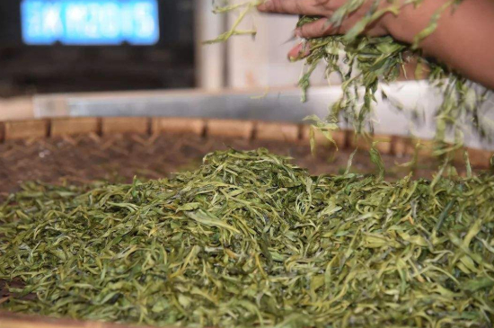 炒青綠茶與綠茶的區(qū)別，烘青和炒青哪個(gè)好喝？