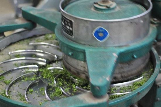 武夷巖茶的初制、精制加工工藝詳細(xì)講解