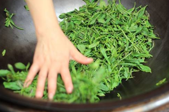 炒青綠茶與綠茶的區(qū)別，烘青和炒青哪個(gè)好喝？