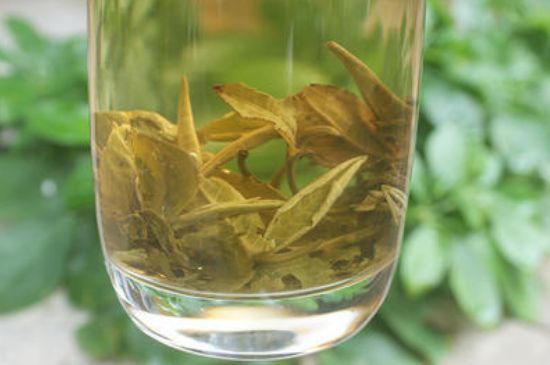 茉莉龍珠泡開后為什么都是梗，茉莉龍珠泡開后什么樣？