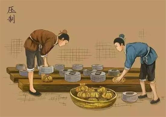 制茶八步驟，制茶工藝流程圖