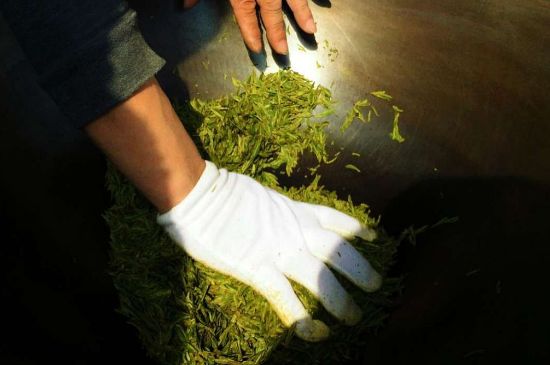 茶葉怎么炒制才香，怎樣炒茶葉更香？