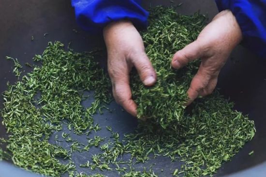 自家炒茶葉怎么炒，自己炒茶葉的步驟
