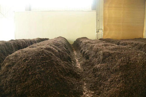 制茶八步驟，制茶工藝流程圖