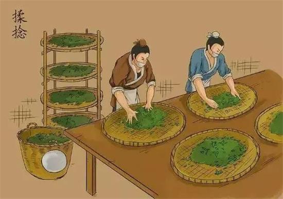 制茶八步驟，制茶工藝流程圖