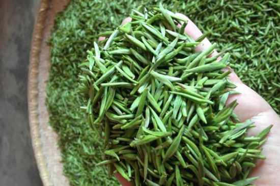 采茶的方法與步驟，如何正確采摘茶葉？