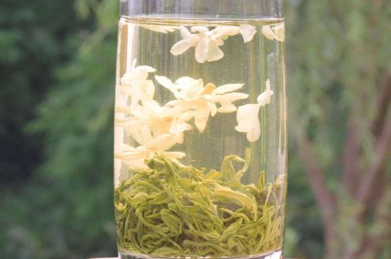 茉莉龍珠可以和什么一起泡茶，茉莉龍珠茶能加蜂蜜嗎？