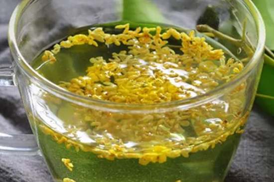 茉莉茶一次泡幾朵，茉莉茶放多少