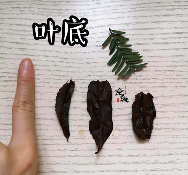 正山小種很細(xì)還很黑亮，正山小種越細(xì)越好嗎