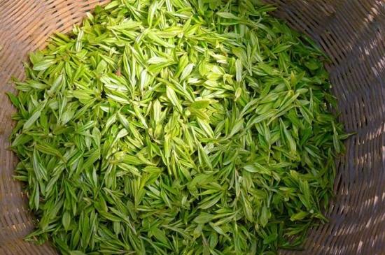 烏牛早和龍井的區(qū)別圖片，龍井43號(hào)和烏牛早茶的對(duì)比