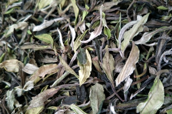 福鼎白茶貢眉和壽眉的區(qū)別，壽眉與貢眉有什么區(qū)別