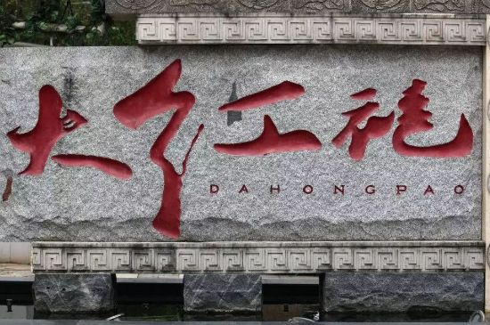 母樹大紅袍給誰喝了，為什么母樹大紅袍叫三棵六株？