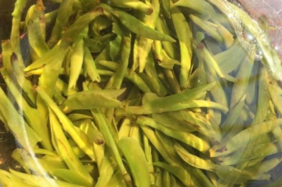 龍井是明前的好還是雨前的好，明前茶和雨前茶哪個(gè)好喝？