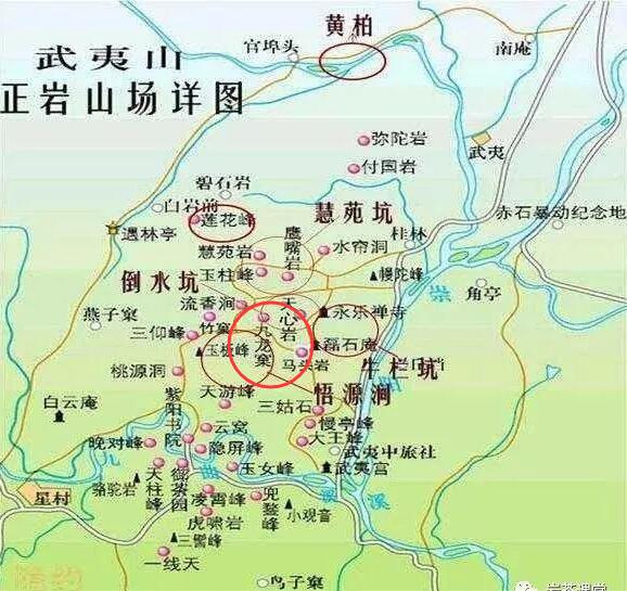 母樹大紅袍給誰喝了，為什么母樹大紅袍叫三棵六株？