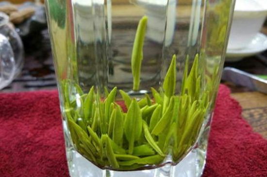 雀舌有一股青草味，雀舌為什么有青草味？