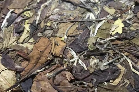 老白茶上火還是去火？夏季喝煮的老白茶會容易上火！