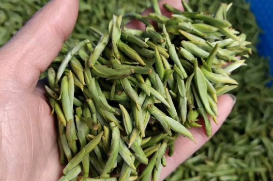 龍井茶好壞的鑒別圖片，如何區(qū)別龍井茶的好壞？