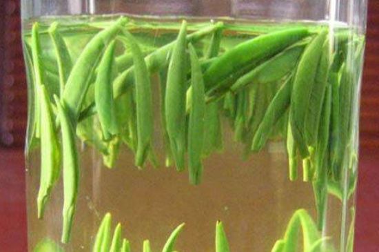 竹葉青和毛尖的區(qū)別，毛尖和竹葉青怎么分辨？