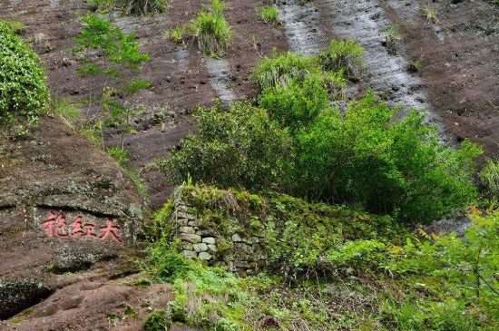武夷巖茶大紅袍，喝起來(lái)是什么味道？
