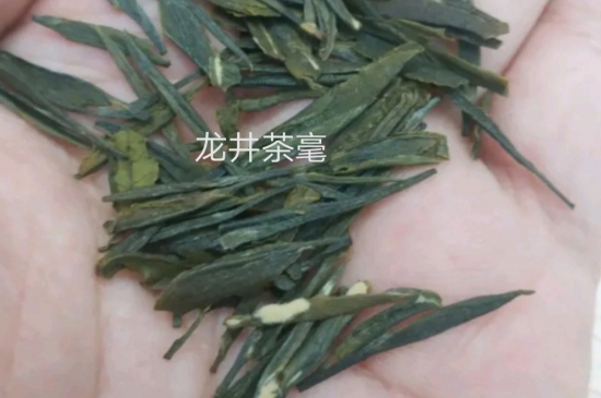 西湖龍井茶毫和發(fā)霉區(qū)別圖片，長(zhǎng)霉的龍井茶葉會(huì)是什么樣？