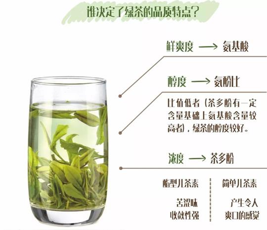 什么綠茶口味重口感濃郁，口味比較重的綠茶都有那些？