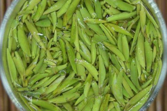 金壇雀舌什么檔次，金壇雀舌算不算好茶？