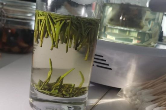 金壇雀舌算不算好茶，金壇雀舌屬于什么檔次茶葉？