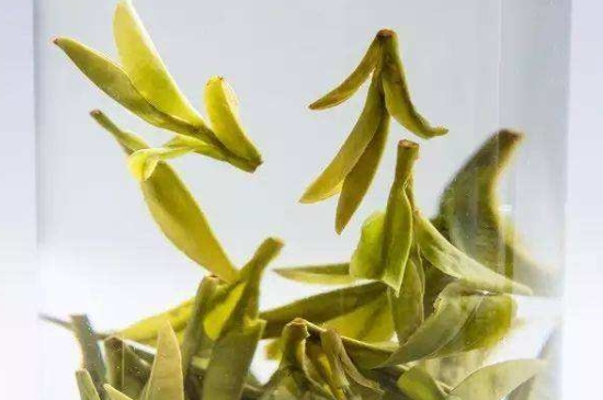 烏牛早和龍井的區(qū)別圖片，龍井43號(hào)和烏牛早茶的對(duì)比