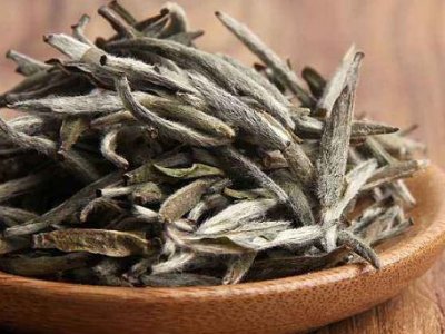 白茶有哪些品種排名，<a href=http://m.shanghailijiu.com/fenlei/baicha/ target=_blank class=infotextkey>白茶的種類</a>大全