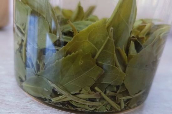 綠茶陳茶和新茶區(qū)別，綠茶怎樣區(qū)分新茶和陳茶