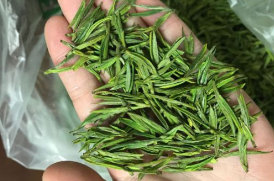 什么綠茶茶葉唇齒留香，哪個品種綠茶香氣好？