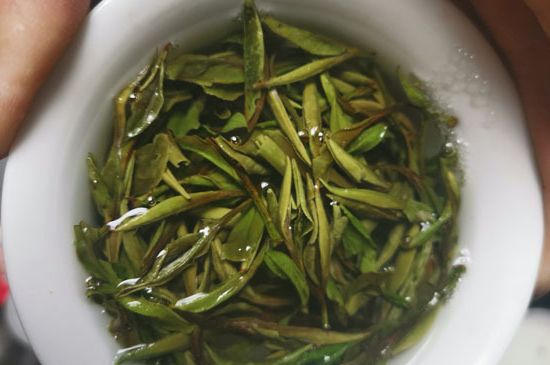 什么人不能喝白茶，白茶不宜什么人喝？