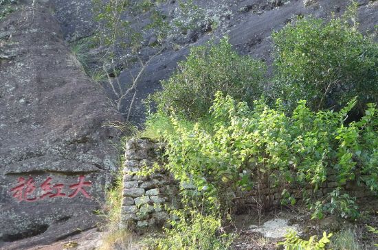 母樹大紅袍給誰喝了，為什么母樹大紅袍叫三棵六株？