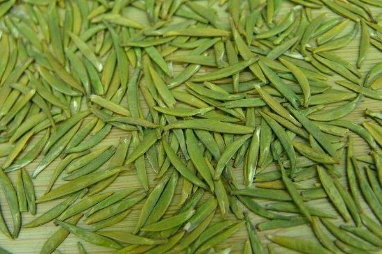 竹葉青和毛尖的區(qū)別，毛尖和竹葉青怎么分辨？