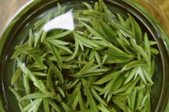 什么綠茶茶葉唇齒留香，哪個品種綠茶香氣好？