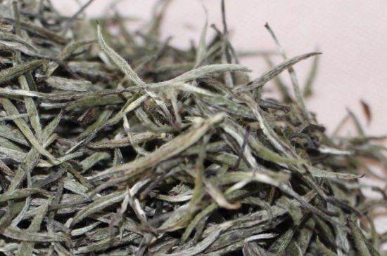 什么人不能喝白茶，白茶不宜什么人喝？